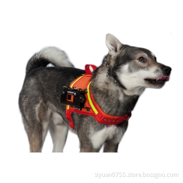 Dog Camera Vest With Waterproof Camera
